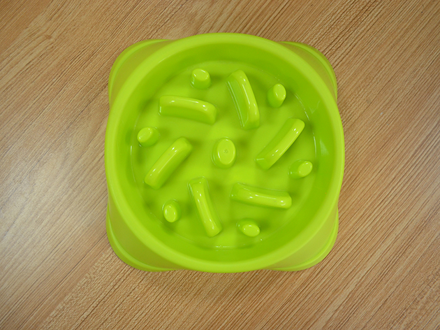 宠物用品